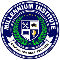 Milllenium Institute